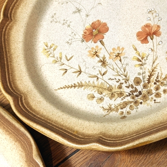 *SOLD* 8pc Mikasa Whole Wheat 'Jardiniere' plates - Picture 4 of 9